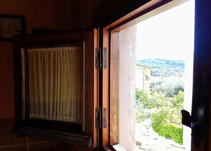 Tiomoreno By Naturadrada